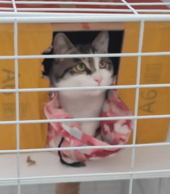 不能爽约的图片 不能爽约