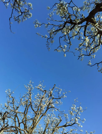 速写阿克塞的图片 速写阿克塞