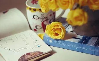 不靠谱的“芳姐”反思的图片 不靠谱的“芳姐”反思