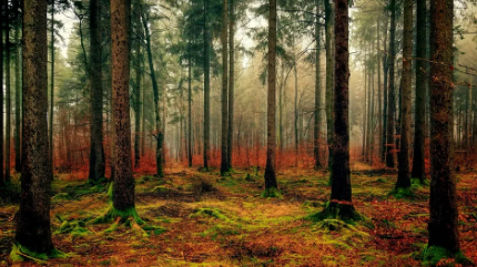 秋悠悠,思忧忧的图片 秋悠悠,思忧忧