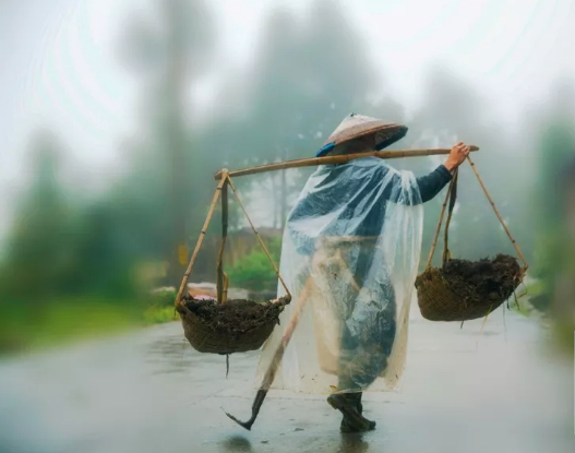 我的舅舅的图片 第1张 我的舅舅