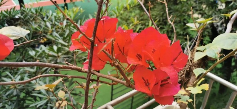 那一刻,我明白了的图片 那一刻,我明白了