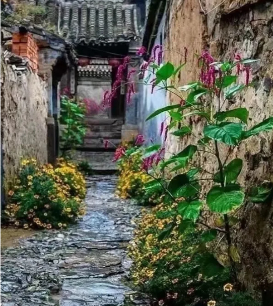 回乡小记两章的图片 第1张 回乡小记两章