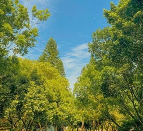 小小说:吉顺的图片 小小说:吉顺