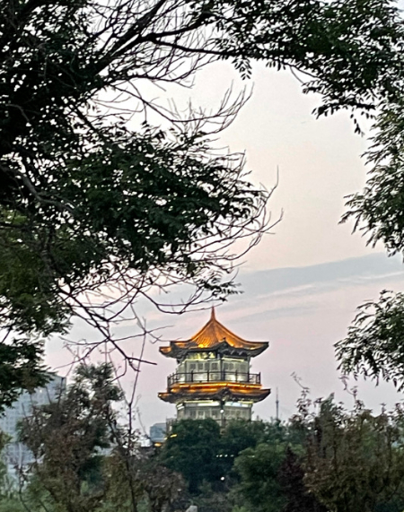 快乐的胡达古拉（九十八）