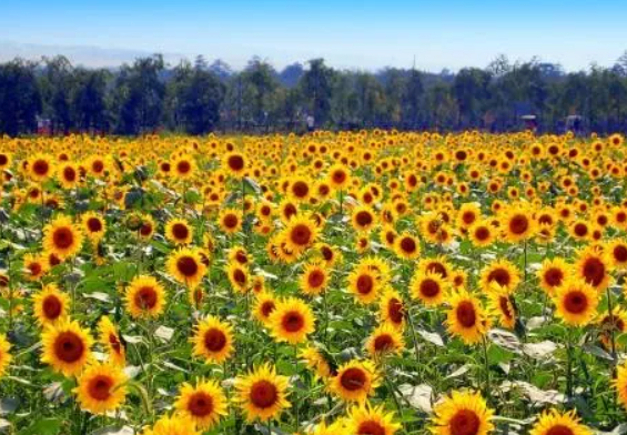 我有一个温暖的家的图片 我有一个温暖的家