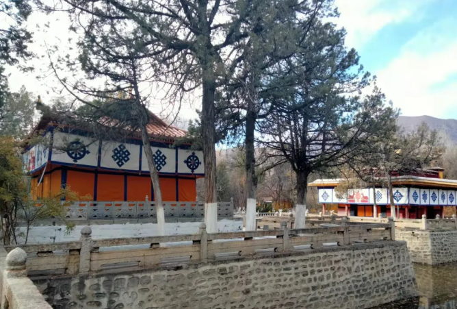 在拉萨,人们纷纷趴在公园的地上,他们在干什么?的图片 在拉萨,人们纷纷趴在公园的地上,他们在干什么?