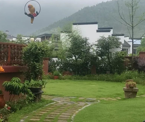 何时能让我们路过时安心的吃一顿烧烤呢？