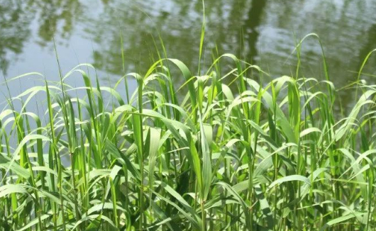 落后一点的图片 落后一点