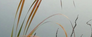 每一日的图片 每一日