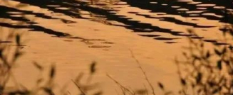 真诚地表达的图片 真诚地表达