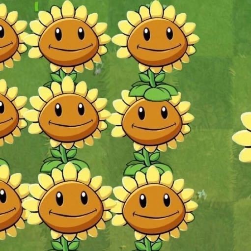 这流量微博也不敢要?石头赶路换向日葵头像后 WBG超话开启审核