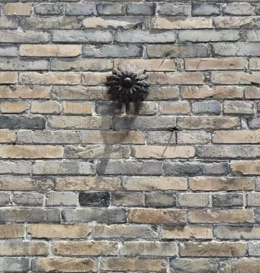 王家庄园和王家大院的图片 王家庄园和王家大院