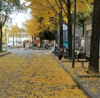 上九华山需要一点超越私欲的情操的图片 上九华山需要一点超越私欲的情操