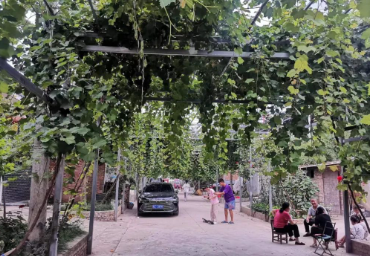 《人物志》自序​