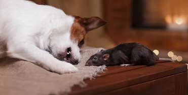 从那之后,他们再也没联系过。的图片 从那之后,他们再也没联系过。