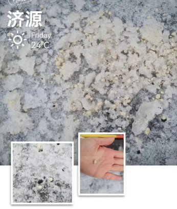 看，铲雪大军隆重出场