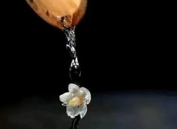 一个人应当以什么方式度过他的一生