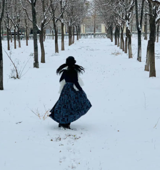 我喜爱下雪的图片 我喜爱下雪