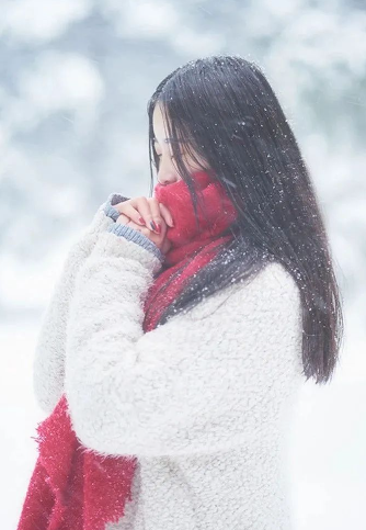 雪花,渐已走远的图片 雪花,渐已走远
