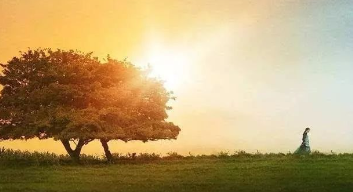 傲慢与偏见续》20:扬格太太为何而来?的图片 傲慢与偏见续》20:扬格太太为何而来?