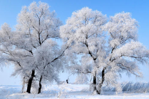 自己曾经的冬天,是那么的富有啊的图片 自己曾经的冬天,是那么的富有啊