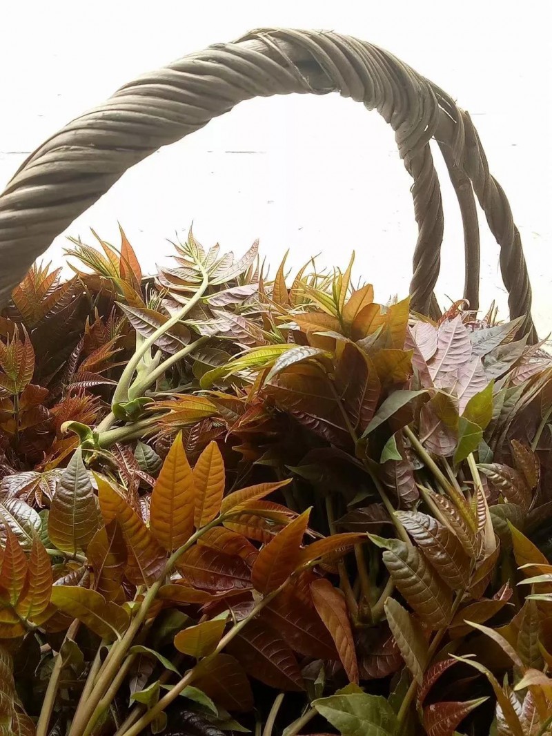 一碗哪够的图片 一碗哪够