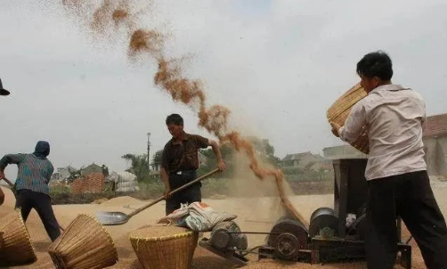 麦地里吼起了信天游 的图片 麦地里吼起了信天游