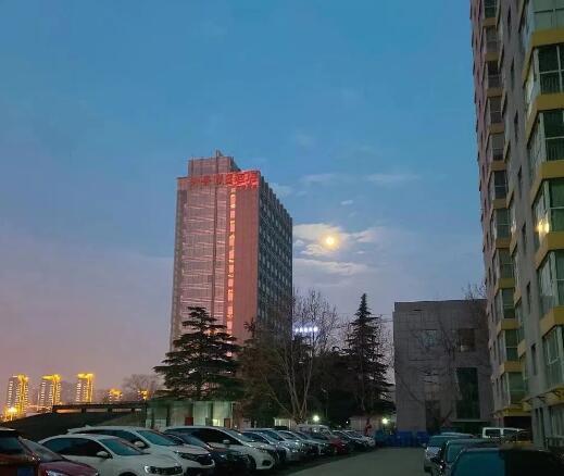 去年元夜时的图片 去年元夜时