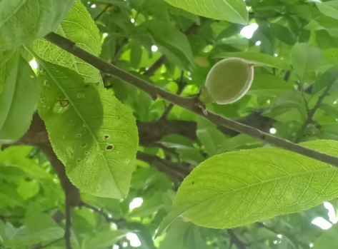 一如旧时的图片 一如旧时