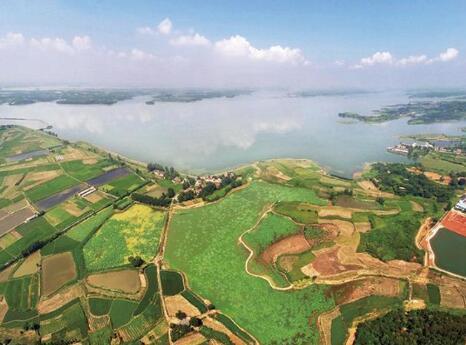 物产丰富毛里湖的图片 物产丰富毛里湖