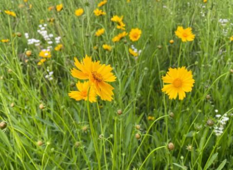 周末的小确幸的图片 周末的小确幸