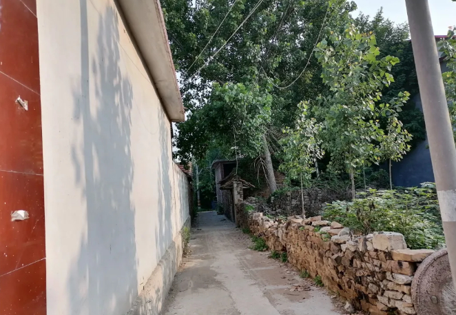 曾经的胡同如今也变了模样的图片 曾经的胡同如今也变了模样