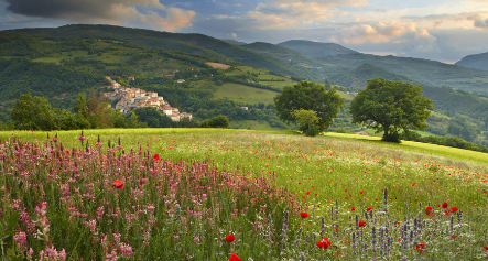 眼前的胡萝卜的图片 眼前的胡萝卜