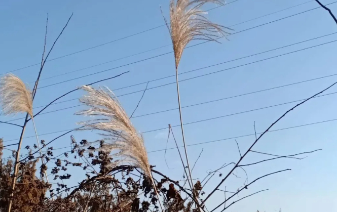 幻想录的图片 幻想录