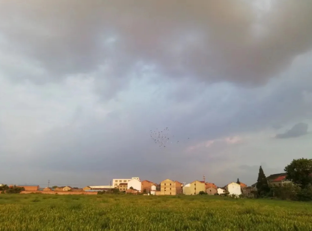 乡村爱情的图片 乡村爱情