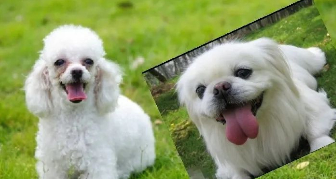 长椅子的图片 长椅子