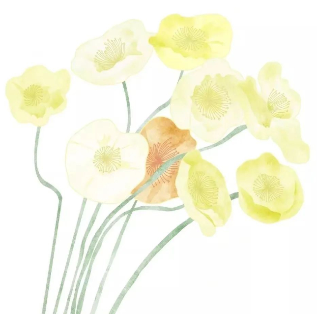 时光印记：远去的墨香