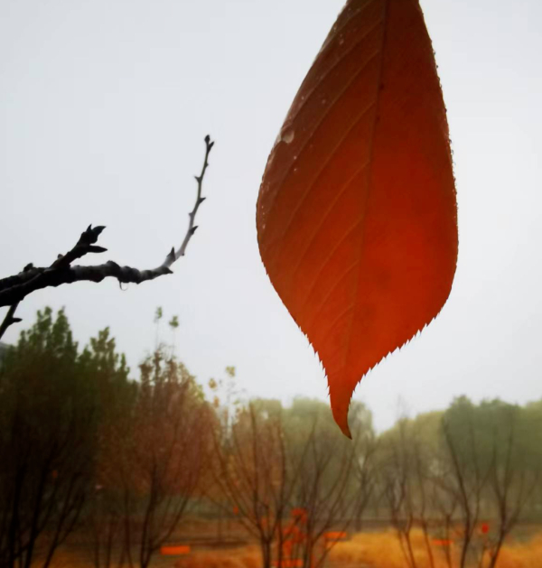 该来的总会要来