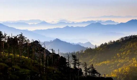 在乱象中发现光亮感知温暖的图片 在乱象中发现光亮感知温暖