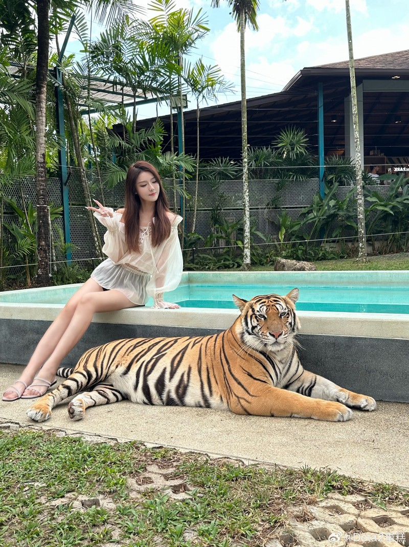 DOTA2解说蛋糕晒照:老虎屁屁很Q弹~