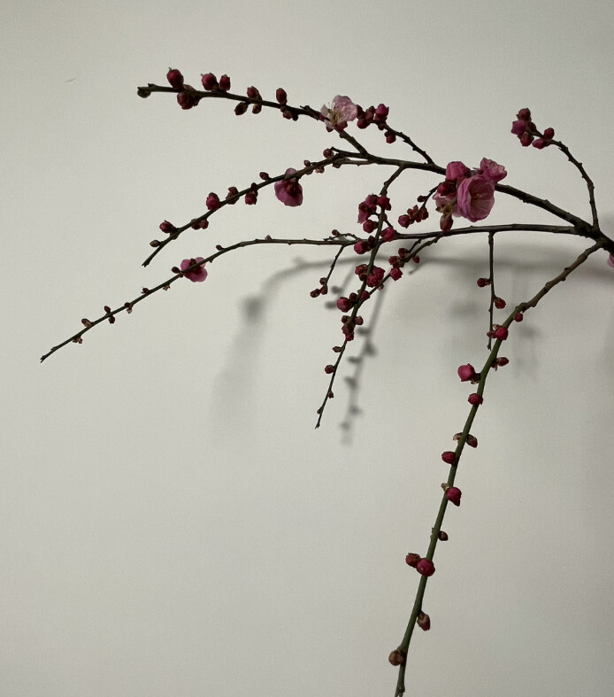 无惧生命中的风风雨雨。所以不管有钱没钱都要回家在一起过个年的图片 无惧生命中的风风雨雨。所以不管有钱没钱都要回家在一起过个年