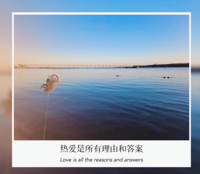 他们本身,就是我的快乐的图片 他们本身,就是我的快乐