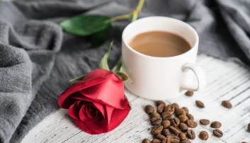 近日“早安,朗星”十则的图片 近日“早安,朗星”十则