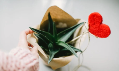 善待自己的图片 善待自己