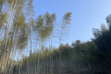 爬东道岭古道的图片 爬东道岭古道