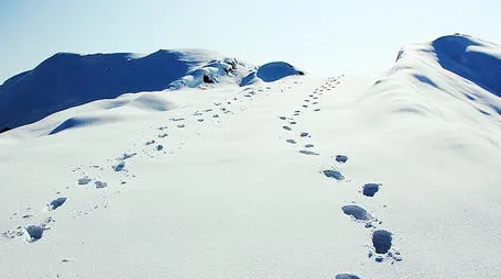 雪地上的脚印的图片 第1张 雪地上的脚印
