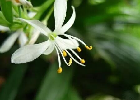 生活拾趣儿的图片 第1张 生活拾趣儿