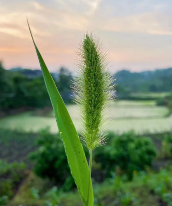 遵守规则,一切都是好好的的图片 遵守规则,一切都是好好的