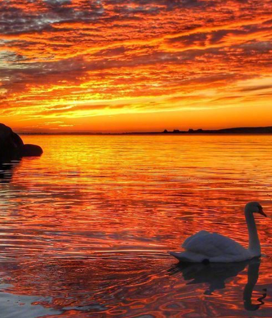 身家千万的图片 身家千万